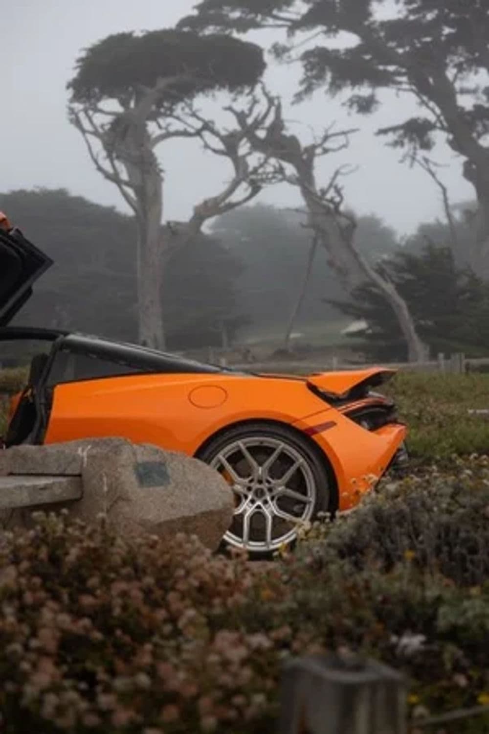 Gallery photos for 2019 McLaren 720S Performance: Image #8