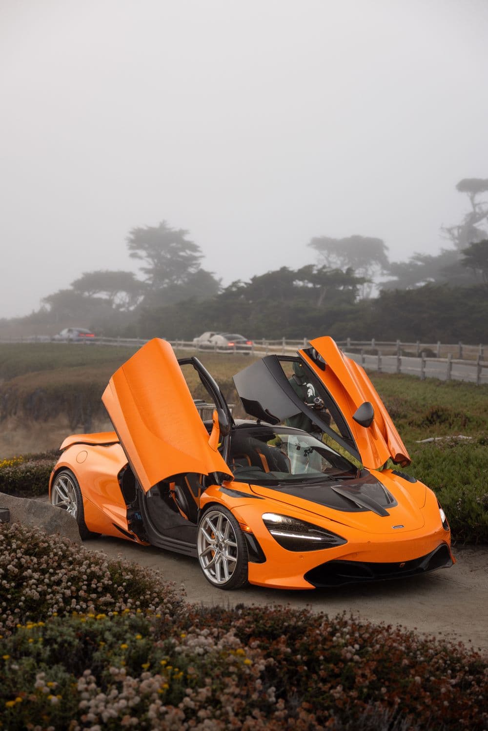 Project 2019 McLaren 720S Performance image