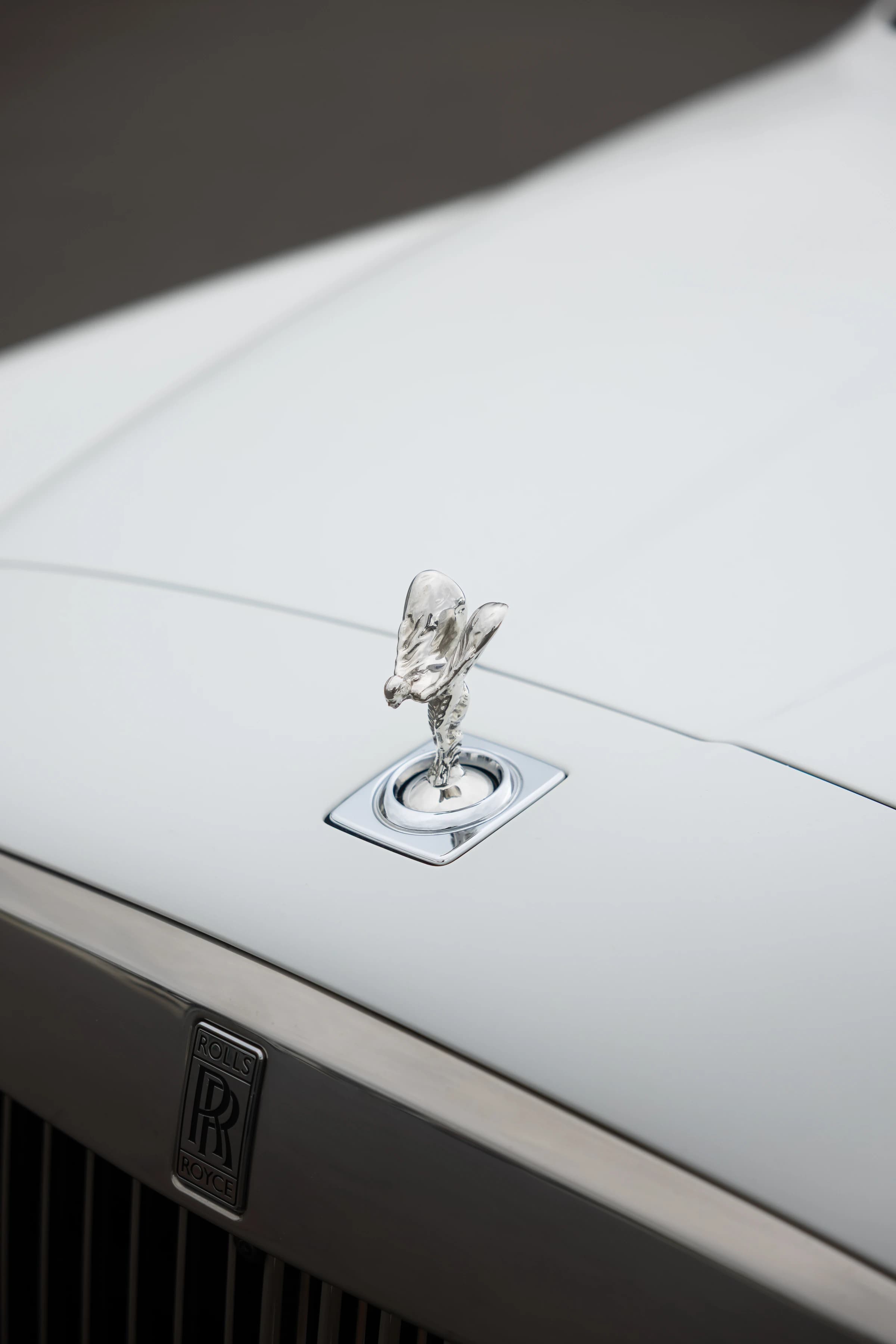 Lifetime Protection Package